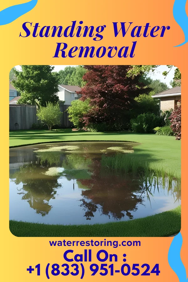 Standing Water Removal in New London, NC